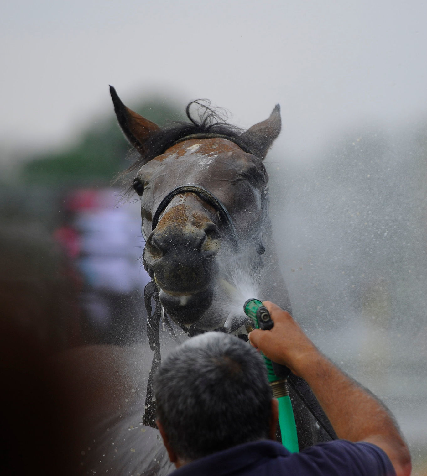 Opening day at Saratoga